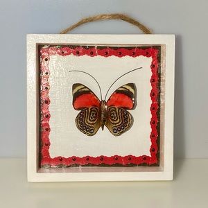 Butterfly Shadow Box